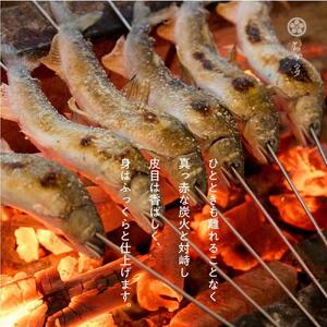 一尾ずつ炭火で丁寧に焼き上げた鮎の塩焼き(4尾)