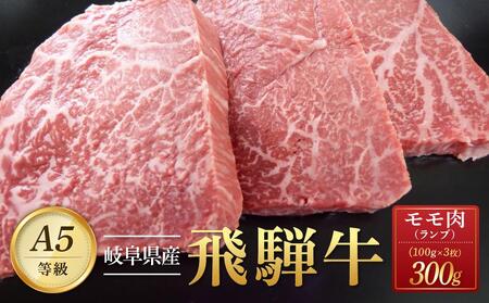 飛騨牛「希少部位」A5 ランプ ステーキ用 300g|国産 肉 牛肉 焼肉 和牛 黒毛和牛 グルメ おすすめ ブランド AD104[飛騨牛 和牛ブランド 希少部位 黒毛和牛 岐阜 大野町 牛肉 国産和牛 和牛 肉 ランプ 焼肉]