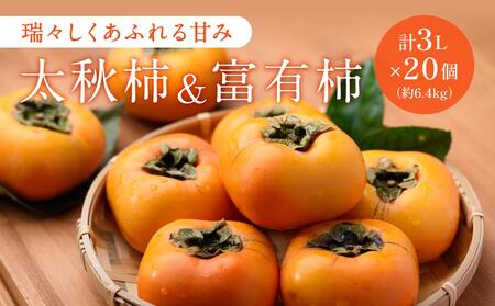 大人気の「柿2品種」食べ比べ!太秋柿(10月)富有柿(11月)計3L×20個(約6.4kg)