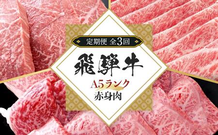 [全3回定期便]飛騨牛 A5 赤身 全3回 900g(焼肉 すき焼き ステーキ)[飛騨牛 和牛ブランド 黒毛和牛 岐阜 大野町 牛肉 肉 定期便 焼肉 すき焼き ステーキ]