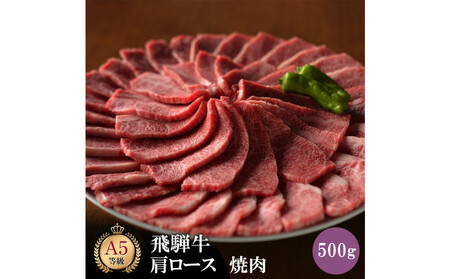 飛騨牛 肩ロース 500g 焼肉 [飛騨牛肩ロース 焼肉 和牛 ローススライス]