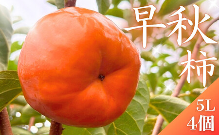 ys\z ^Ԃő傫ĊÂI Farm m&ȃH` 5L×4 Gi 򕌌 쒬i2025N10{`j_ƒ ʕ t[c H̖o `  H イ