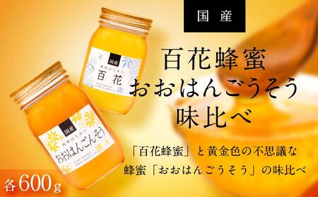 ☆味比べ☆国産 百花蜂蜜・おおはんごんそう蜂蜜（各600g×1本）【はちみつ 蜂蜜 ハチミツ 国産はちみつ 国産蜂蜜 百花はちみつ 百花蜂蜜 おおはんごんそう蜂蜜 国産 はちみつ味比べ】