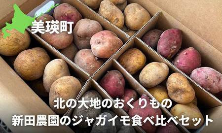 〜北の大地のおくりもの〜新田農園のジャガイモ食べ比べセット[020-74]