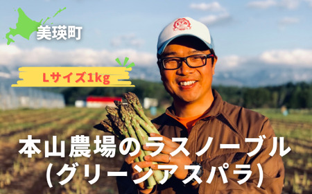 【令和7年産！】美瑛町幻のアスパラ 本山農場のラスノーブル（グリーンアスパラ）Lサイズ1kg  | グリーン アスパラガス アスパラ あすぱら あすぱらがす 採れたて 新鮮 旬 産地直送 野菜 [012-162]