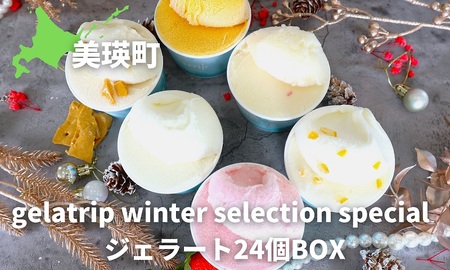 ジェラート 24個BOX びえい牧場の牛乳を使用!gelatrip winter selection special | ジェラート 人気 ジェラート 送料無料 ジェラート[034-09]