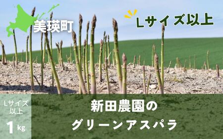 ≪令和7年産予約受付!≫新田農園 グリーンアスパラ(Lサイズ以上)1kg | アスパラ 採れたて アスパラ 新鮮 アスパラ 旬 アスパラ 産地直送 アスパラ[015-115]