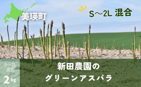 ≪令和7年産予約受付!≫新田農園 グリーンアスパラ(S〜2L混合)2kg | アスパラ 採れたて アスパラ 新鮮 アスパラ 旬 アスパラ 産地直送 アスパラ[018-51]