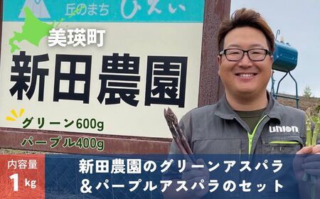 ≪令和7年産予約受付!≫新田農園 グリーンアスパラ&パープルアスパラのセット | アスパラ 採れたて アスパラ 新鮮 アスパラ 旬 アスパラ 産地直送 アスパラ[017-57]