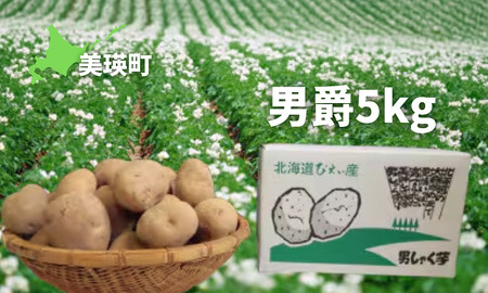 ≪令和7年産予約受付!≫おおとり 男爵5kg | ふるさと納税 人気 おすすめ ランキング 旬 じゃがいも 芋 ジャガイモ いも イモ 新鮮 鮮度抜群 野菜 ベジタブル おいしい 健康 北海道 美瑛町 送料無料[0075-03]