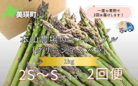 [2026年産先行予約]北海道 美瑛町幻のアスパラ 本山農場のラスノーブル(グリーンアスパラ)2S〜Sサイズ 1kg ≪2回便≫ | アスパラ アスパラ アスパラ アスパラ アスパラ アスパラ[020-92]