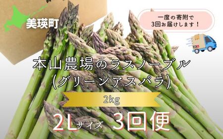 y2026NYs\zkC l̃AXp {R_̃Xm[uiO[AXpj2LTCY 2kg 3ց  [087-05]