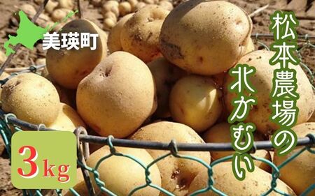 [令和7年産予約受付!]松本農場の北かむい3kg | きたかむい キタカムイ 秋野菜 3kg 人気 おすすめ ランキング いも 芋 イモ じゃがいも ジャガイモ 野菜[0055-03]