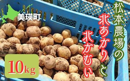 【令和７年産予約受付！】松本農場の北あかり＆北かむい10kg |  じゃがいも じゃがいも じゃがいも じゃがいも じゃがいも じゃがいも [012-178]