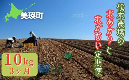 【令和７年産予約受付！】松本農場の北あかり＆北かむい10kg定期便 3ヶ月 | じゃがいも じゃがいも じゃがいも じゃがいも じゃがいも じゃがいも [036-40]
