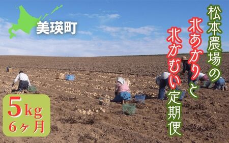 【令和７年産予約受付！】松本農場の北あかり＆北かむい5kg定期便 6ヶ月 | じゃがいも じゃがいも じゃがいも じゃがいも じゃがいも じゃがいも [048-11]