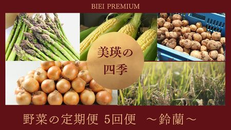 野菜 定期便 [令和7年産予約受付!]〜美瑛の四季〜 野菜の定期便[鈴蘭]5回便 | 野菜 定期便 野菜 定期便 野菜 定期便 野菜 定期便 野菜 定期便 [052-11]