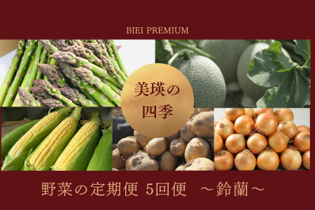 野菜 定期便 [令和8年産予約受付!]〜美瑛の四季〜 野菜の定期便[鈴蘭]5回便 | 野菜 定期便 [058-04]