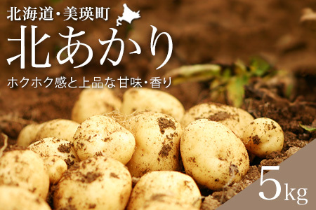 じゃがいも[令和7年産予約受付!]黒木農場 北あかり5kg キタアカリ | じゃがいも [006-24]