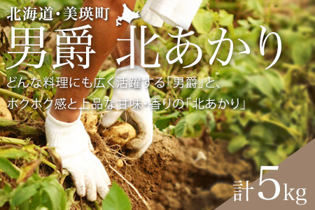 じゃがいも[令和7年産予約受付!]黒木農場 男爵・北あかり計5kg 男爵 キタアカリ食べ比べ | じゃがいも [006-25]