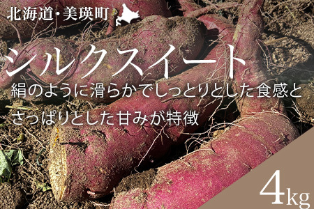 ܂ iVNXC[gj4kg ؔ_ | kC XC[c XC[g|eg  H 4kg C   |eg [015-134]