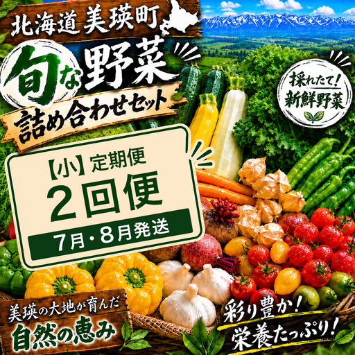 季節の野菜セット【小】定期便 2回便 7月 8月発送 旬野菜 詰め合わせ あらいふぁーむ