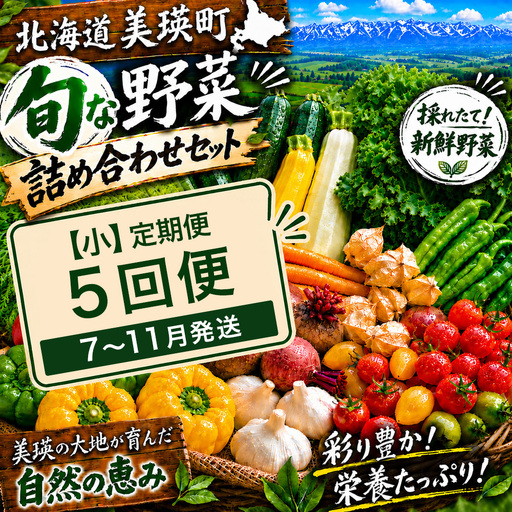 季節の野菜セット【小】定期便 5回便 7月 8月 9月 10月 11月発送 旬野菜 詰め合わせ あらいふぁーむ