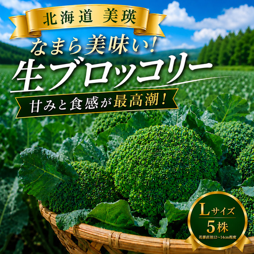 [令和8年産]ブロッコリー 5株 Lサイズ 北海道 美瑛産 舟山農園