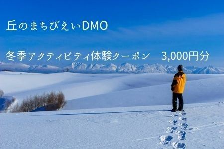 丘のまちびえいDMO 冬季アクティビティ体験クーポン3,000円[010-148]