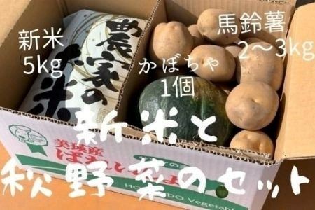 ≪令和7年産予約受付!≫サスケの家 新米と秋野菜のセット[015-101]