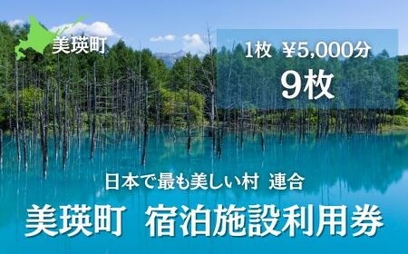 美瑛町宿泊施設利用券9枚 | 宿泊券 北海道 宿泊券 美瑛町[150-01]