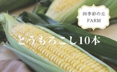 [令和7年産予約受付!]四季彩の丘FARM とうもろこし(10本)[018-35]