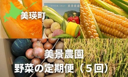 ≪令和7年産予約受付!≫美景農園 野菜の定期便(5回)[068-02]