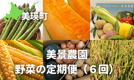 野菜定期便≪令和7年産予約受付!≫美景農園 野菜の定期便(6回)| 野菜定期便 北海道 野菜定期便 美瑛町野菜定期便産地直送 [080-28]