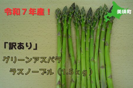 [令和7年産予約受付!]おおとり [訳あり]グリーンアスパラ(ラスノーブル)1.5kg[010-190]