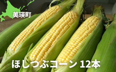 黒木農場 令和6年産 とうもろこし(ほしつぶコーン)12本[012-45]