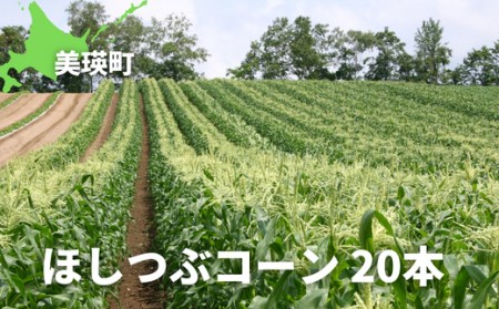 とうもろこし(ほしつぶコーン)20本[令和7年産予約受付!]黒木農場 | とうもろこし 北海道 とうもろこし 美瑛町 とうもろこし産地直送 とうもろこし 送料無料 とうもろこし[021-21]