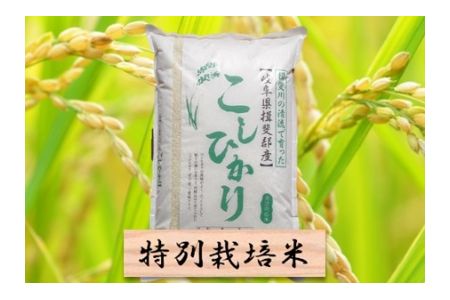 【2600-0414】特別栽培米　コシヒカリ　精米5kg