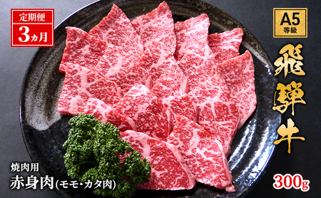 [定期便3ヶ月]牛肉 飛騨牛 焼き肉 セット 赤身 モモ 又は カタ 300g 黒毛和牛 A5 美味しい お肉 牛 肉 和牛 焼肉 BBQ バーベキュー [岐阜県池田町]