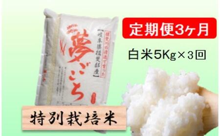 特別栽培米★[定期便] 3カ月★毎月 白米5kg [夢ごこち] 米 お米 白米 コメ ご飯 定期 岐阜県 池田町