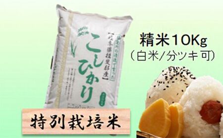 [令和7年産]特別栽培米 10kg[白米、7分ツキ](コシヒカリ) 白米