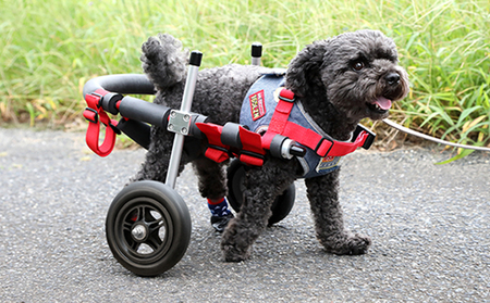 小型犬用二輪車椅子(背丈23〜35cm 体重8キロ以下) [!寄附前に事業者へ相談必要!]