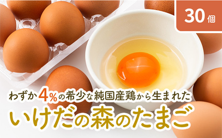 卵 わずか4%の希少な純国産鶏 いけだの森たまご 30個 こだわり おこめのたまご 玉子 鶏卵 生卵 産地直送 冷蔵配送 TKG 卵かけご飯 岐阜県産