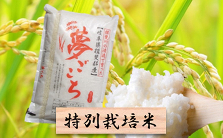 特別栽培米★精米10kg（分搗き可）または玄米11kg【夢ごこち】