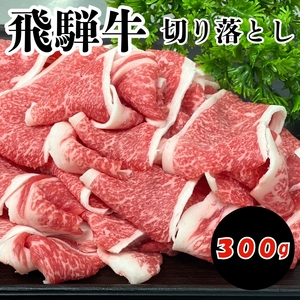 ˋ ؂藎Ƃ 300g | 򕌌 k