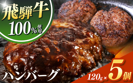 飛騨牛 100% ハンバーグ 120g 5個