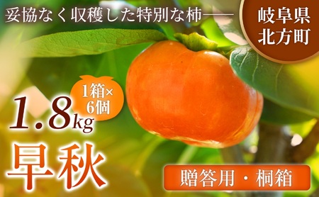 [贈答用・桐箱] 早秋 柿 ( 6個 / 1.8kg ) 1箱 先行予約 令和8年10月中旬順次発送 | さのっち農園