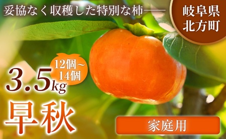 [家庭用] 早秋 柿 12〜14個/3.5kg ( 1箱 ) 先行予約 令和8年10月中旬順次発送 | さのっち農園