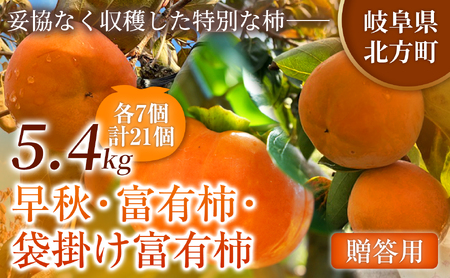 [定期便 3回]特選 銘柿リレー便 贈答用 早秋 富有柿 ( 各7個 / 1.8kg )| さのっち農園