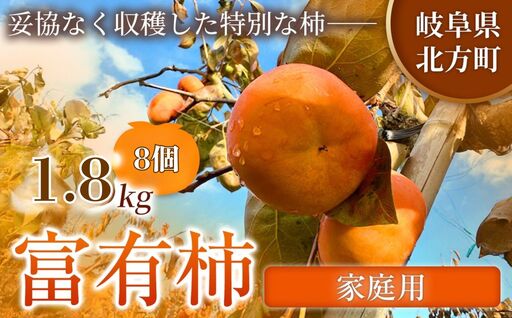 【訳あり品】先行予約 令和8年11月中旬順次発送 富有柿 ( 8個 ／ 1.8kg ) 1箱 岐阜県 本巣郡 北方町